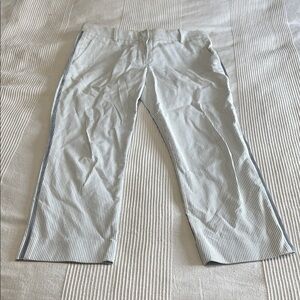Sies Marjan Cropped Blue and White Striped Pants Size 4